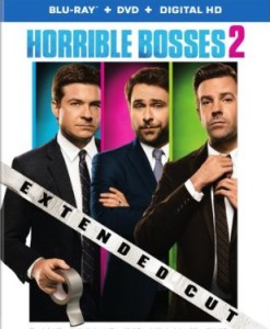 DVD Horrible Bosses 2