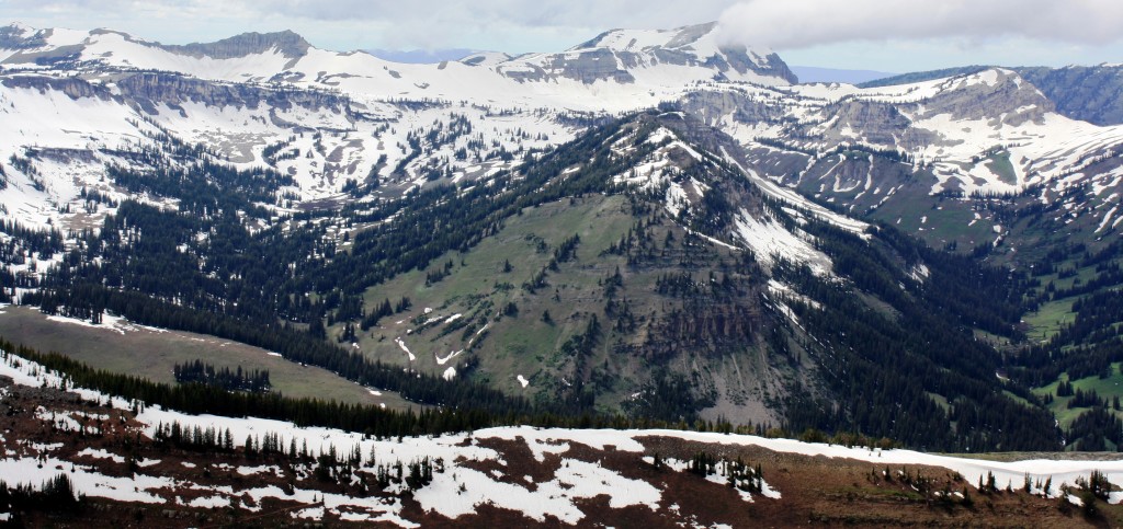 Travel Jackson Hole Greenery