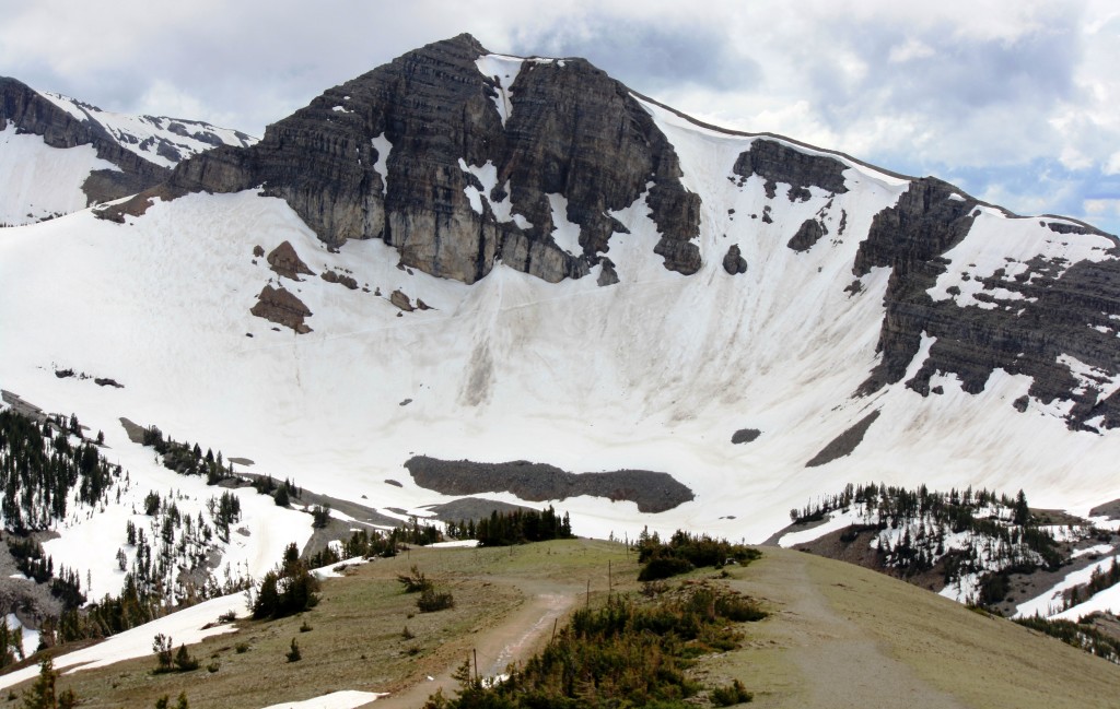 Travel Jackson Hole MAIN PHOTO